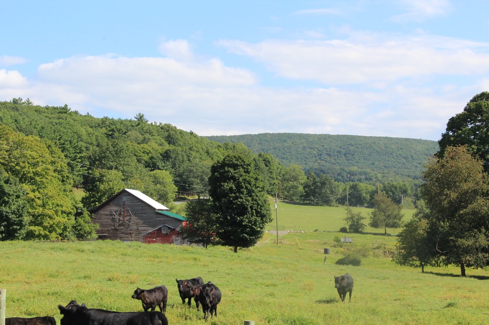 Punsit Valley Farm