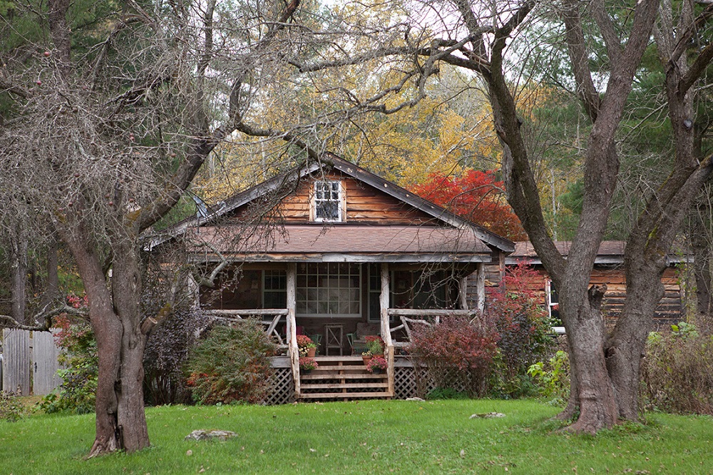 Cabin in the Country